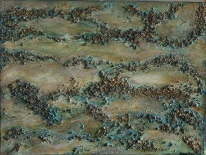 Braided Rivers